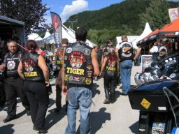 tigrina faacker see 017